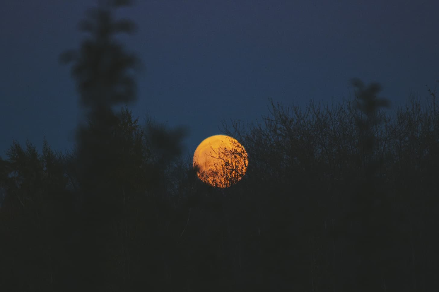 Photo by Noah Silliman on Unsplash