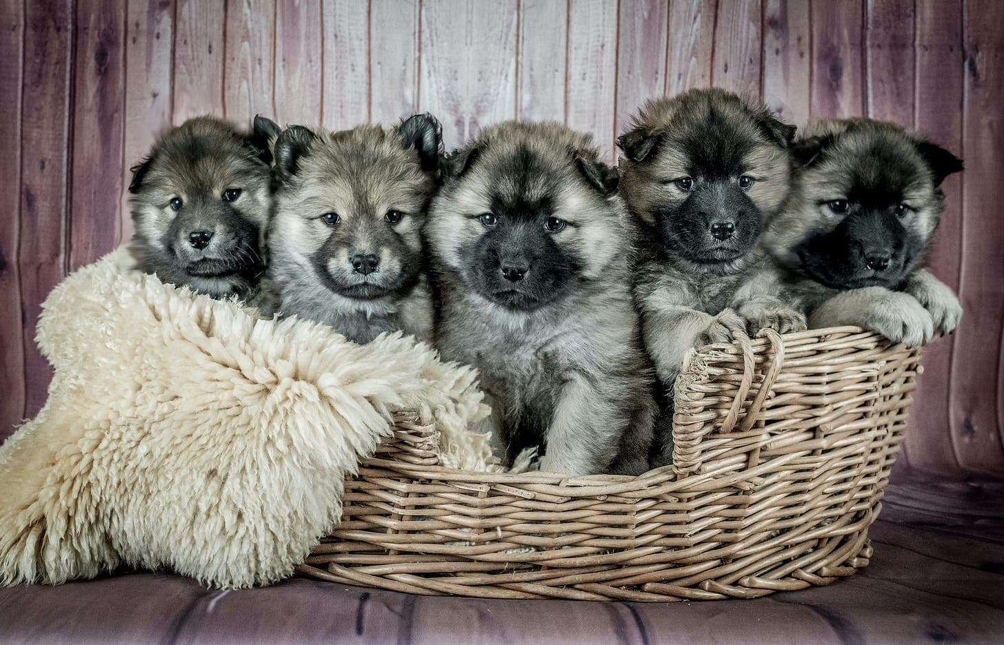 Photo by Judi Neumeyer on Unsplash